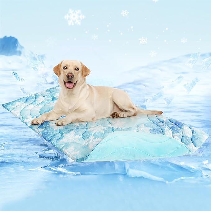 PAWCHIE Summer Dog Cooling Mat,Reversible Self-Cooling Mat for Small Medium Dogs,Washable Pet Ice Cool Pad Blanket,Pet Sleeping Pad for Crate,Bed,Indoor & Outdoor Floor,Car Seats,Sky Blue 36" x 23"