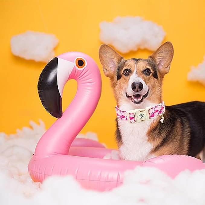 Elegant little tail Dog Collar-Cute Pet Dog Collar Pink Flamingos Print Cotton Soft Girl Puppy Adjustable Pet Collars for Small Medium Large Dogs