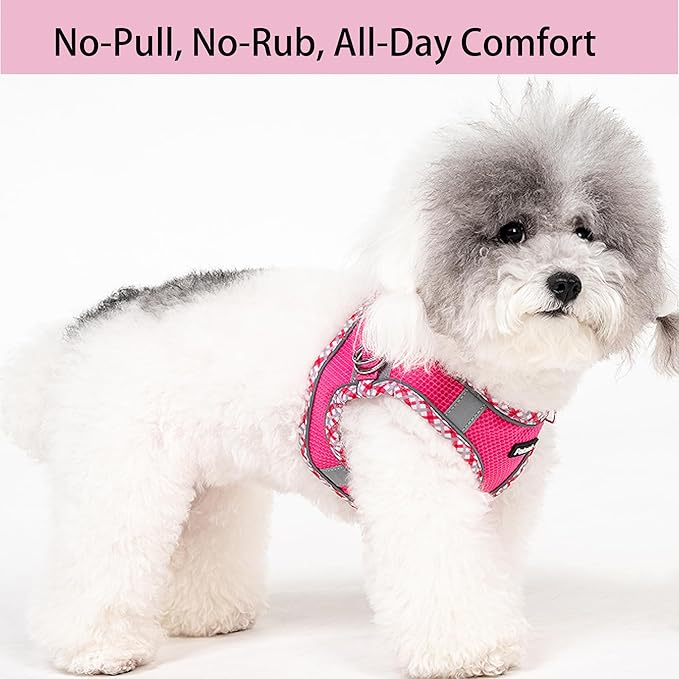 Petank Dog Harness for Small Medium Dogs No Pull, Puppy Harness and Leash Set for Walking, Running, Training, Small Dog Harness, Medium Dog Harness (Rose Red, XS)