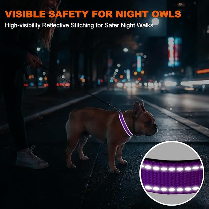 Taglory Reflective Dog Collar for Medium Dogs, Soft Neoprene Padded with Escape-Proof Locking Buckle, Upgraded Zinc Alloy Ring, Adjustable for Walking Female Male, Purple,M