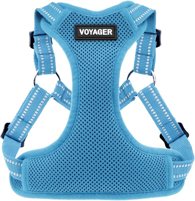 Best Pet Supplies Voyager Adjustable Step-In Flex Breathable Mesh Dog Harness for Small Medium Large Dogs (Baby Blue), XL