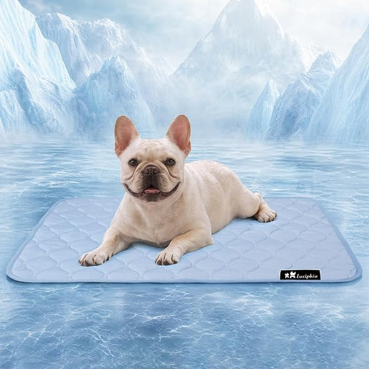 Luciphia Waterproof Cooling Mat for Dogs, Light Blue, 30x40 inches | Couch Cover, Q-MAX>0.5, Leakproof, Non-Slip, For Cat Puppy Crate Bed Protector Outdoor