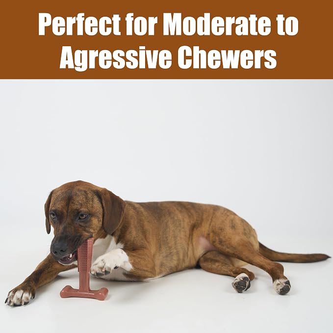 SPOT Bam-Bones Plus T Bone – Bamboo Fiber & Nylon Dog Chew Toy for Moderate to Aggressive Chewers, Durable Long Lasting & Non-Splintering, Beef Flavor Toy for Adult Dogs & Puppies Under 60 lbs, 6 in