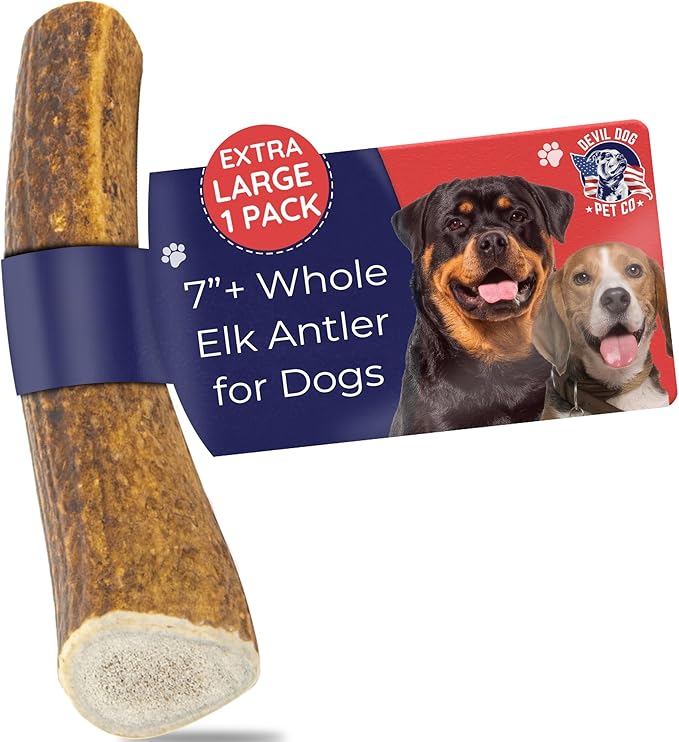 Devil Dog Pet Co. Elk Antlers for Dogs, Natural Dog Chew for Aggressive Chewers - Long Lasting and Odor Free - USA Sourced - Cleaner Teeth, Anxiety & Boredom Relief - Whole XL 7"+ - Antler Bone