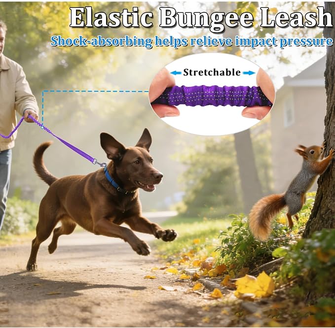 WYuZe 4-5.5 FT Bungee Dog Leash, Reflective Shock Absorbing Elastic Nylon Leash with Comfortable Handle, for Strong Puppy/Medium Dogs Anti-Pull Training Walking (Purple, 3/4"-Wide)