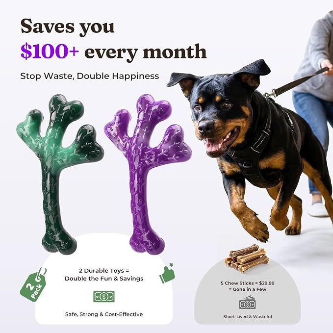 Frienhund 2 Pack Indestructible Dog Chew Toys for Aggressive Chewers - Textured Cactus with Grooves for Peanut Butter & Yogurt, Beef Nylon Bones for Large Dogs 20-90 lbs, Easy Chew & Long Lasting