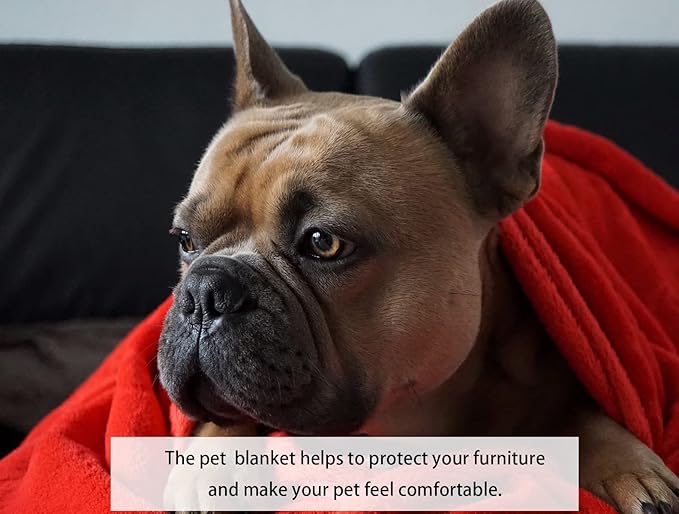 iMaylex Soft Puppy Flannel Fleece Blanket for Pet Dog Cat, Plush Microfiber, Cozy and Lightweight, Orange, Pet, 27 x 39 inch (70 x 100 cm)