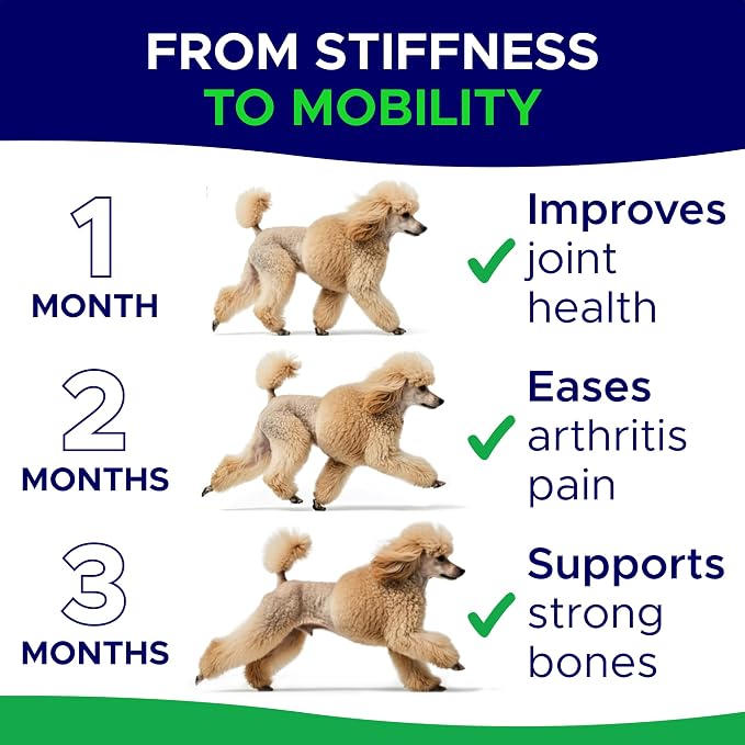 Glucosamine for Dogs Hip & Joint Supplement - Chondroitin, Omega-3, MSM - Joint Health & Pain Relief - Senior & Large Dogs - Made in USA - 120 Mobility Chews