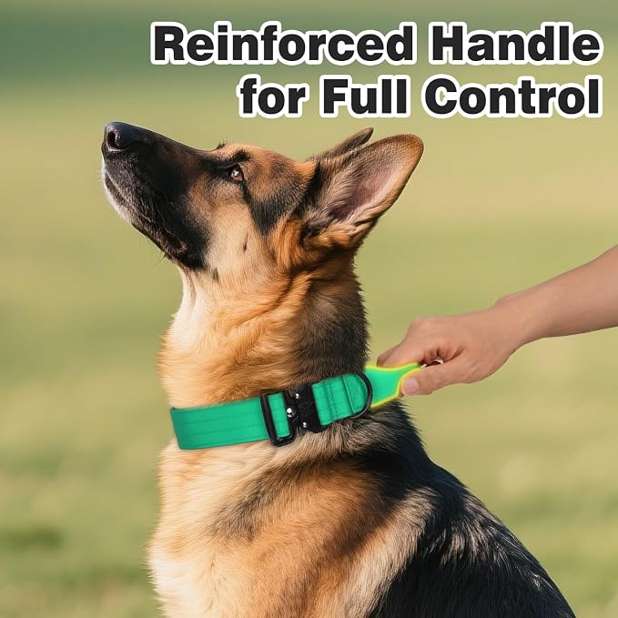 Joytale Tactical Dog Collar for Large Dogs with Control Handle, Heavy Duty Military Training Collar for Power Breeds, AirTag Holder Case, Quick Release Metal Buckle, Soft Padded, L, Teal