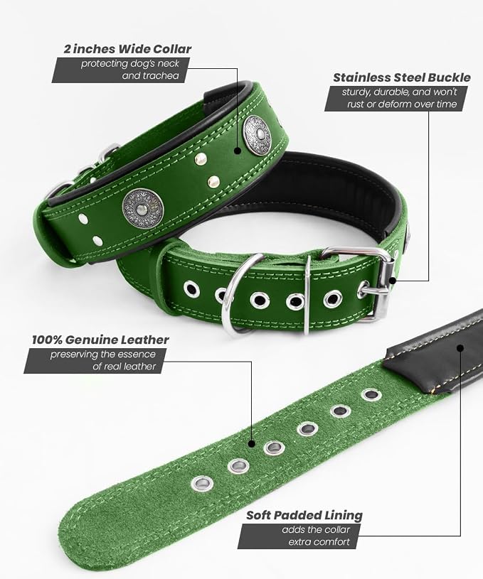 Genuine Leather Dog Collar for Large Dogs,2 in Wide Heavy Duty,GN-L | Handmade,Stainless Steel Pin Buckle,Soft Padded,Alloy Studded,Luxury Eye-catching Design,Medium Large Giant Breeds,21-25 in
