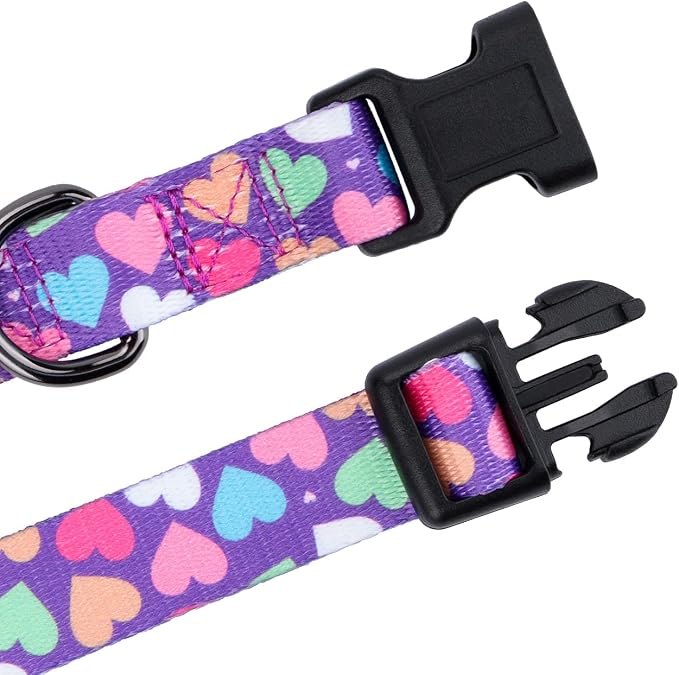 Girl Dog Collars Spring Cute Heart Pattern Lovely Print Purple for Medium Dogs
