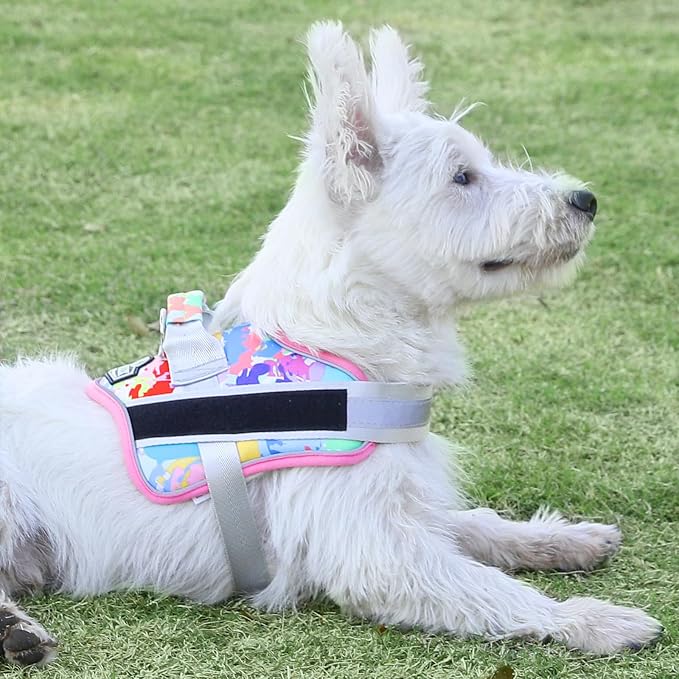 Dog Harness, No-Pull Reflective Dog Vest, Breathable Adjustable Pet Harness with Handle for Outdoor Walking - No More Pulling, Tugging or Choking (Large (Pack of 1), OilPainting)