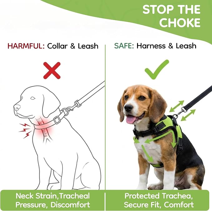 No Pull Reflective Adjustable Dog Harness With Handle- Comfortable Soft All Weather Mesh, Easy On Puppy Harness For Small Medium and Large Dogs (Green) Medium