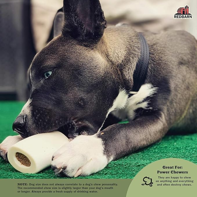 Redbarn Pet Products Large Filled Bones, BBQ Flavor - Long Lasting Stuffed Femur Chew Treat Made in USA - 15 Count