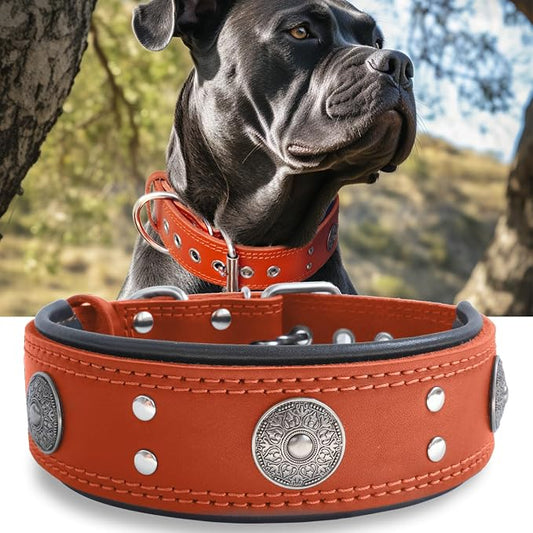 Leather Dog Collar for Large Dogs, 2 in Wide Heavy Duty, Handmade, OR-M | Genuine Leather Stainless Steel Pin Buckle, Microfiber Leather Padded, Alloy Studded， Soft, Luxury and Eye-catching