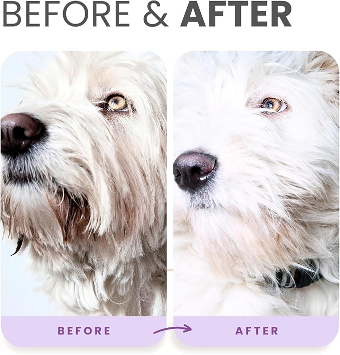 Lillian Ruff PRO Formula Ultra Brightening Dog Shampoo - Professional Whitening & Long-Lasting Odor Eliminator - Removes Stains & Discoloration, Dry Skin & Itch Relief with Aloe & Provitamin B5 (16oz)