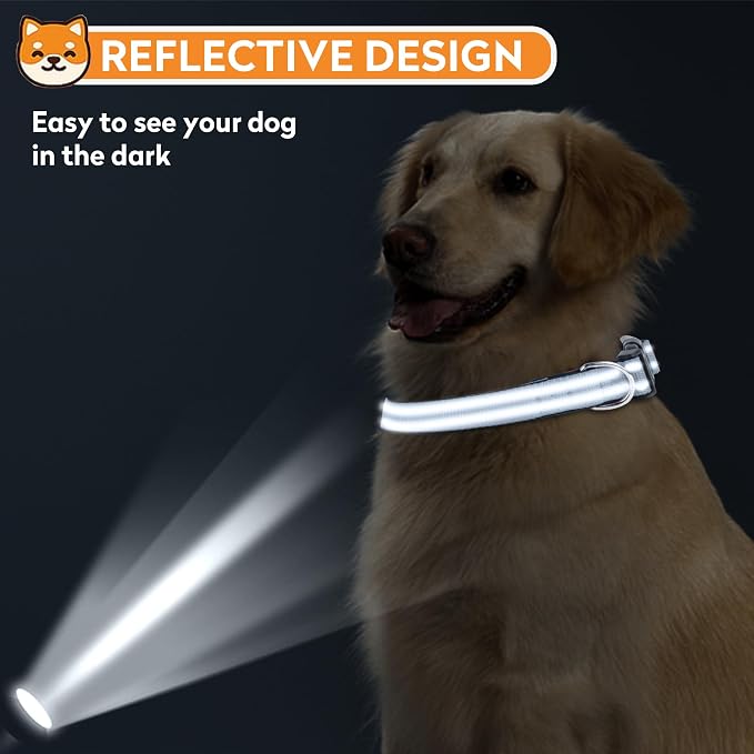 Reflective Dog Collar, Adjustable Soft Neoprene Padded Nylon Pet Collars with Buckle for Puppy and Small Dogs, Cats, Gray,XS