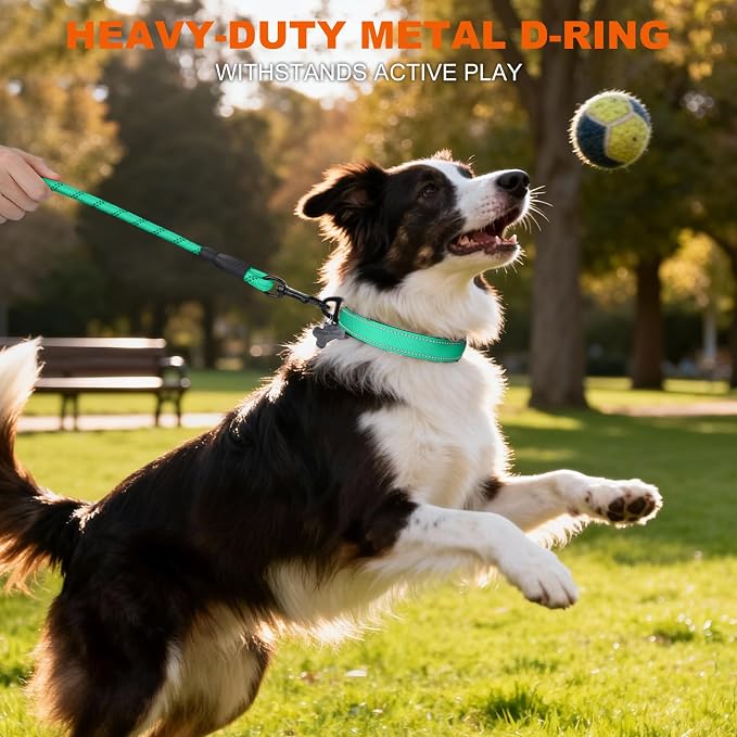 Taglory Reflective Dog Collar for Medium Dogs, Soft Neoprene Padded with Escape-Proof Locking Buckle, Upgraded Zinc Alloy Ring, Adjustable for Walking Female Male, Turquoise,M