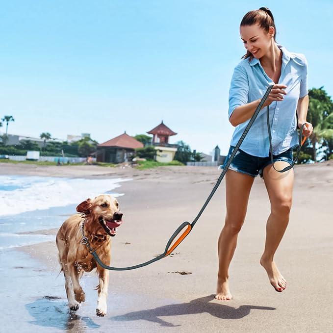 Dog Leash for Small to Medium Dogs 6 ft with 3 Reflective Stitching and 2 Traffic Padded Handles Dog Lead/Rope, Pet Leash for Running Walking Training (Black 1 Pack - 6 ft x 0.6 in)