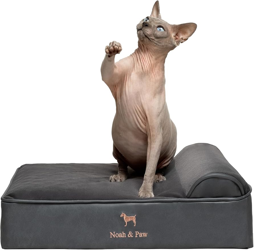 NOAH & PAW Small Dog Bed, 20x15x6.5 Inch, Cat Bed for Indoor Cats, Orthopedic Eggshell Memory Foam Infused with Cooling Gel, Water Resistant, Machine Washable, Includes Inner Cover (Faux Leather)