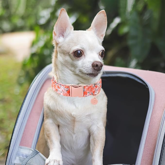 Dog Collar for Summer,Orange Flower Dog Collar,Cotton Puppy Collar with Adjustable Buckle for Small,Medium,Large Girl Boy Dog