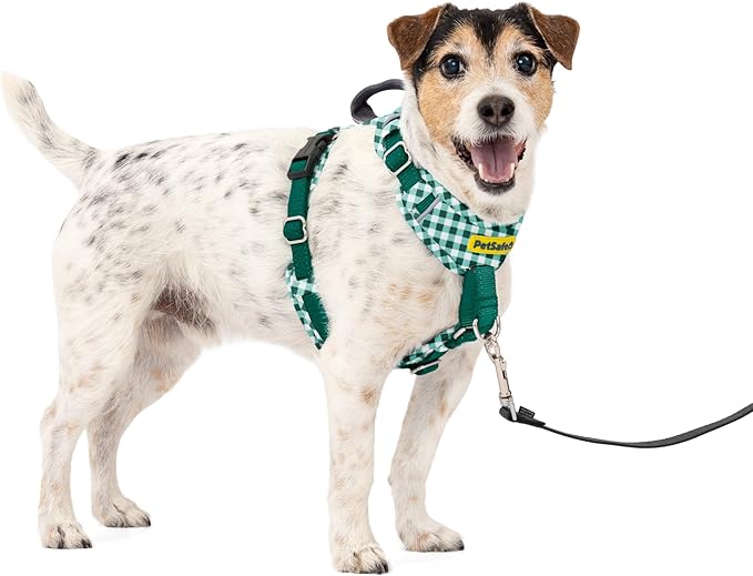 PetSafe Easy Walk Comfort No-Pull Dog Harness Padding - Better Walks on 1st Use - 5 Points of Adjustment Small, Green Gingham