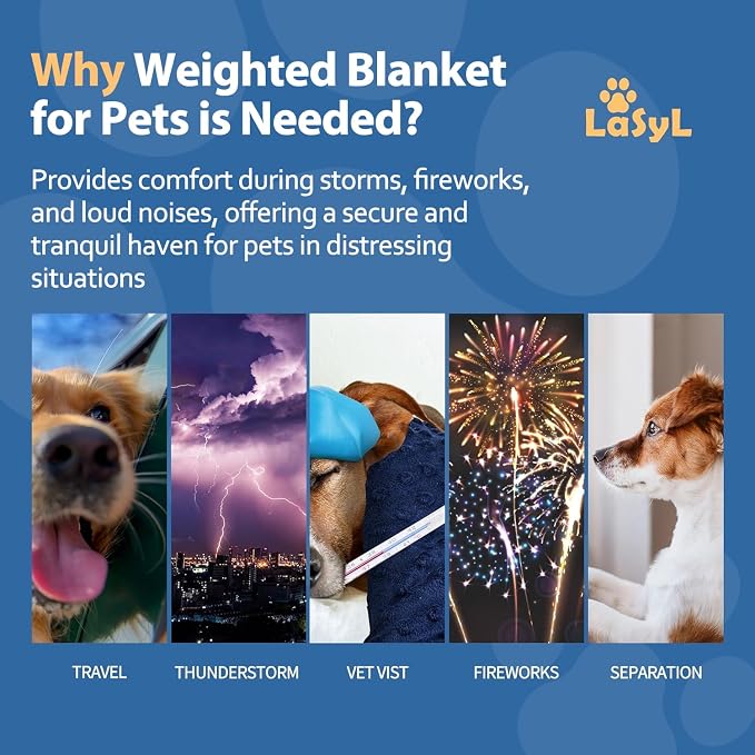 LaSyL Weighted Blanket for Pets | Thunder Blanket for Dogs Anxiety | Premium Soft Minky | Relaxation & Calming & Anti Anxiety | Used in Car, Bed, Couch | Blue Grey Star, Washable Large (40"x47")
