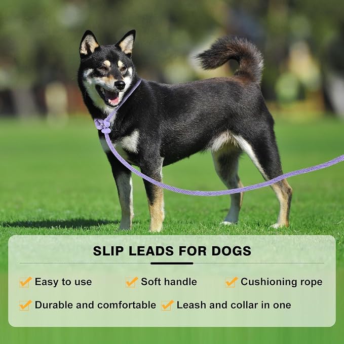 Lynxking Dog Leash Slip Lead Reflective Breathable Rope Comfortable Strong No Pull Slip On Pet Training Lead for Dogs (Light Purple, Large 1/2 inch x 6ft)