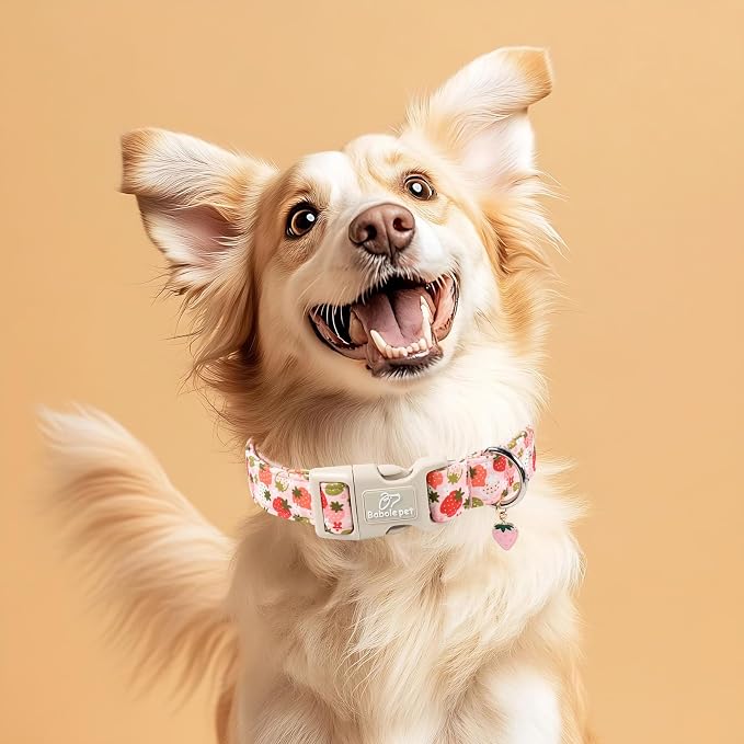 Strawberry Dog Collar for Medium Dogs - Cute Spring Pink Dog Collars, Summer Pastel Puppy Collars, Soft Adjustable Boy Girl Dogs Collar with Quick-Release Buckle M