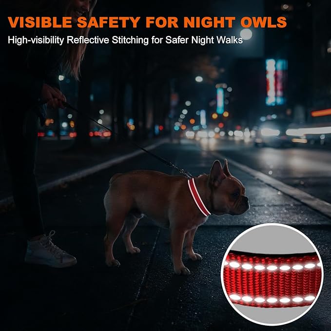 Taglory Reflective Dog Collar for Small Dogs, Soft Neoprene Padded with Escape-Proof Locking Buckle, Upgraded Zinc Alloy Ring, Adjustable Nylon Collar for Walking, Red,S