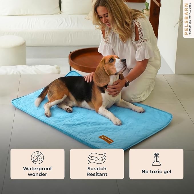Pelsbarn Dog Cooling Mat- Ice Silk Summer Comfort, Self Cooling, Non-Slip Dog Pad, Durable & Washable, Mat for Medium Dogs 19 x 25, Support Shelter Dogs with Every Purchase (Blue)