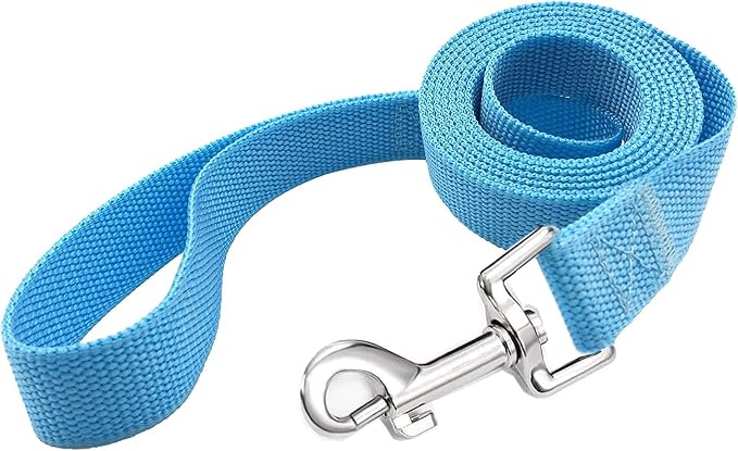 TAIAN 5 FT Strong Dog Leash, Nylon Dog Leashes for Small Medium Large Dogs Blue
