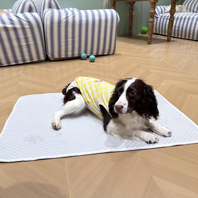 Dog Cooling Mat 38"x26" for Medium Dogs, Q-Max 0.4+ Ice-Silk Fabric, Waterproof & Machine Washable, Non-Slip Portable Pet Cooling Pad for Crate, Indoor & Outdoor Use (M)