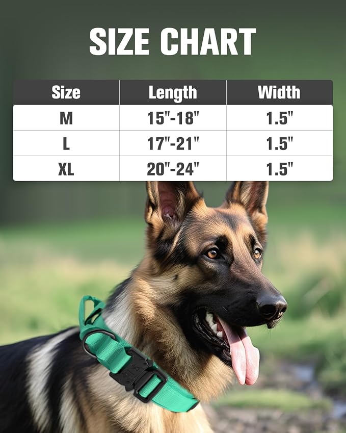 Joytale Tactical Dog Collar with Handle and Metal Buckle, Heavy Duty Padded Military Collar with 2 Patches for Training, Adjustable for Medium Dogs, Teal, M