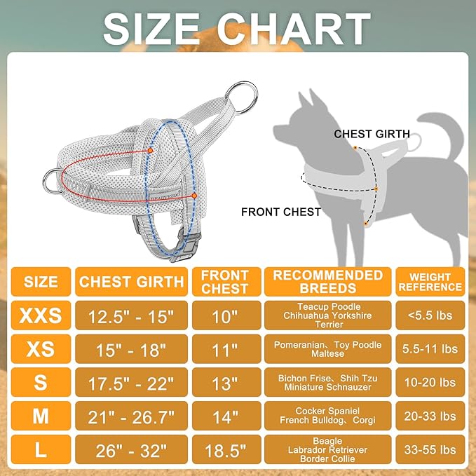 BEAUTYZOO Dog Harness for Small Dogs, No Pull Dog Harness and Leash Set, Soft Escape Proof Puppy Vest Harness with Handle, Reflective Lightweight Step in Harness for Girl Boy Dogs, Beige XS