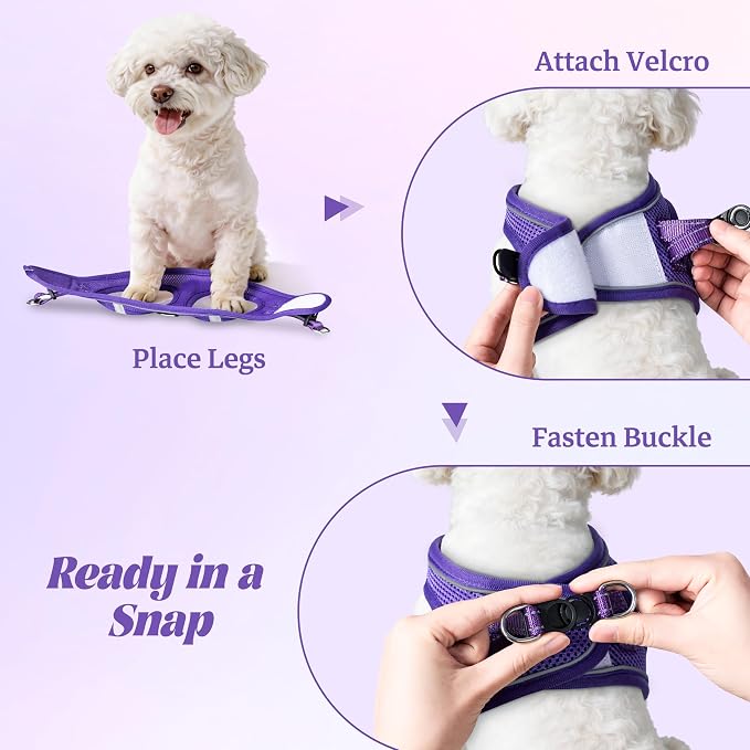 YIMEIS Dog Harness and Leash Set, No Pull Soft Mesh Pet Harness, Reflective Adjustable Puppy Vest for Small Medium Large Dogs, Cats (Purple, X-Small (Pack of 1)