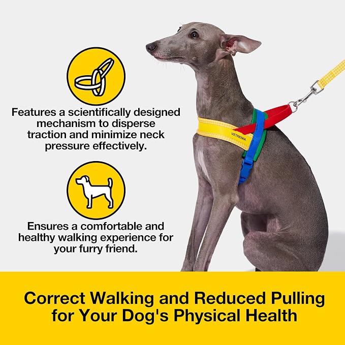 VETRESKA MoMA Dog Harness for Medium Large Dogs, Easy Walk Dog Harness and Leash Set, No Pull Dog Vest Harness for Walking and Training, Adjustable, Take Control & Anti-Twist Pet Lead Combo(Yellow, M)