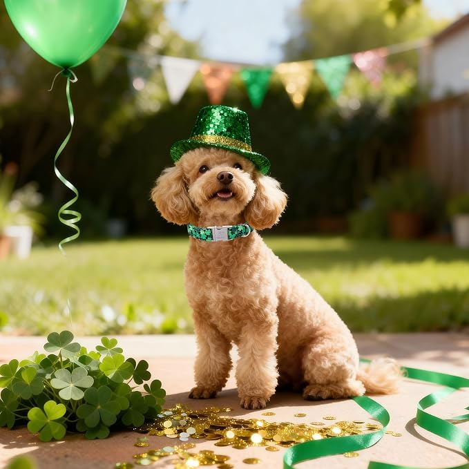 St. Patrick's Day Dog Collar, Lucky Clover Dog Collars, Adjustable Heavy Duty Irish Festive Pet Collar for Small Medium Large Dogs with Metal Buckle M