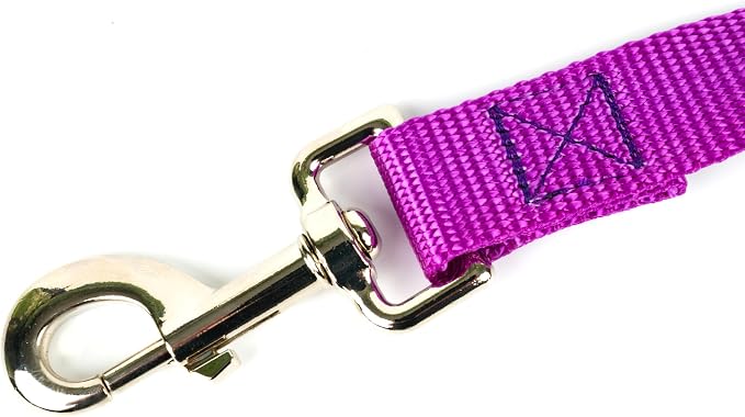 Country Brook Petz - Everyday Nylon Dog Leash - Strong, Durable, Solid Color Leash with Easy to Use Snap - 25+ Colors (1 Inch Wide, 6 Foot, Bright Purple)