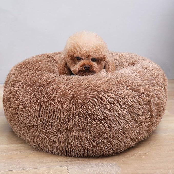 Modern Soft Plush Round Pet Bed for Cats or Small Dogs, Mini Medium Sized Dog Cat Bed Self Warming Autumn Winter Indoor Snooze Sleeping Cozy Kitty Teddy Kennel (24'' D x 8'' H, Coffee)