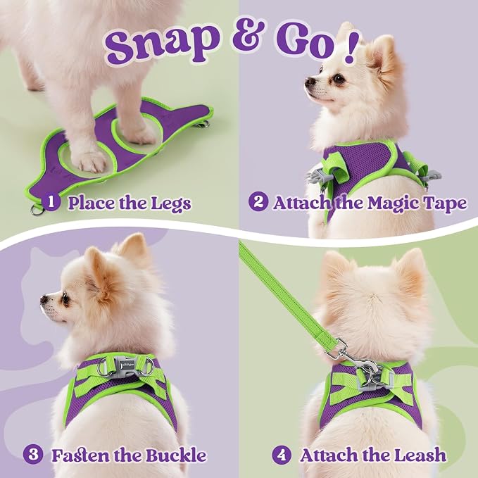 rabbitgoo Dog Harness Small Sized and Leash Set, Step-in Breathable Pet Harness, Soft Walking Reflective Puppy Vest for Small Dogs, Purple & Green, S