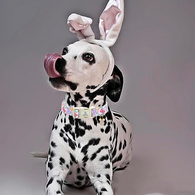 Lionheart glory Easter Dog Collar Colorful Collar for Medium Dog Collars Easter Egg Print Dog Collars Spring Female or Male Pet Gift Adjustable Heavy-Duty Holiday Dog Collar Plastic Buckle
