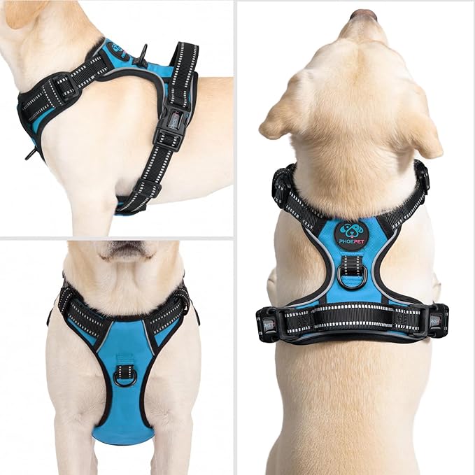 PHOEPET No Pull Dog Harness Medium Reflective Front Clip Puppy Vest with Handle,Adjustable 2 Metal Leash Attachment Hooks(M, Blue)