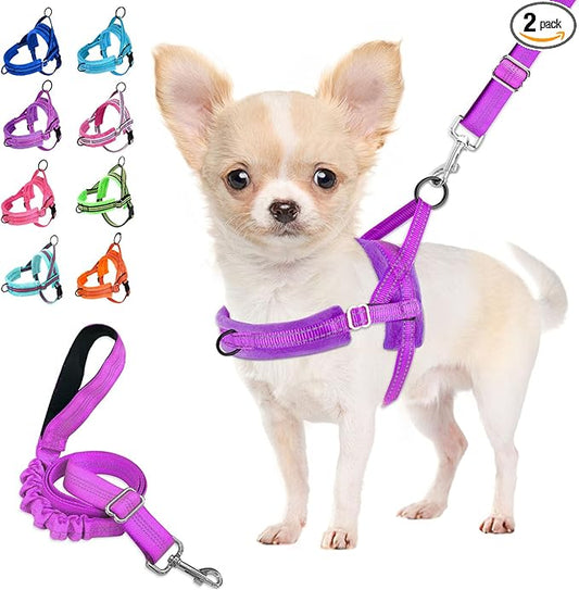 Lukovee No Pull Dog Harness and Leash Set, Soft Padded Small Dog Harness, Neck & Chest Adjustable Reflective Vest Puppy Harness with 4ft Lightweight Anti-Twist Dog Leash for Small Dogs (XS, Purple)