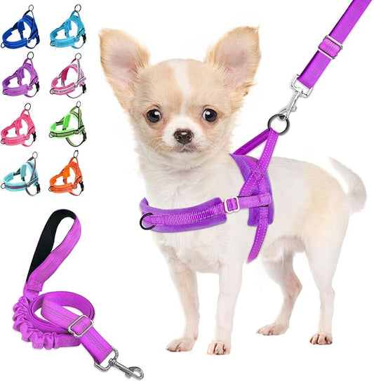 Lukovee No Pull Dog Harness and Leash Set, Soft Padded Small Dog Harness, Neck & Chest Adjustable Reflective Vest Puppy Harness with 4ft Lightweight Anti-Twist Dog Leash for Small Dogs (Purple, M)