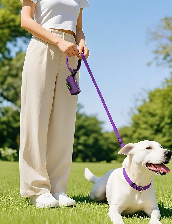 Gobeigo【Easy Pull-Out Version】 Dog Poop Bag Holder,【2-in-1 Hard Plastic Insert & Soft Fabric Bag】Snap-On Strap Dispenser Fits Retractable and Standard Leashes with 1 Roll Bags (Purple)