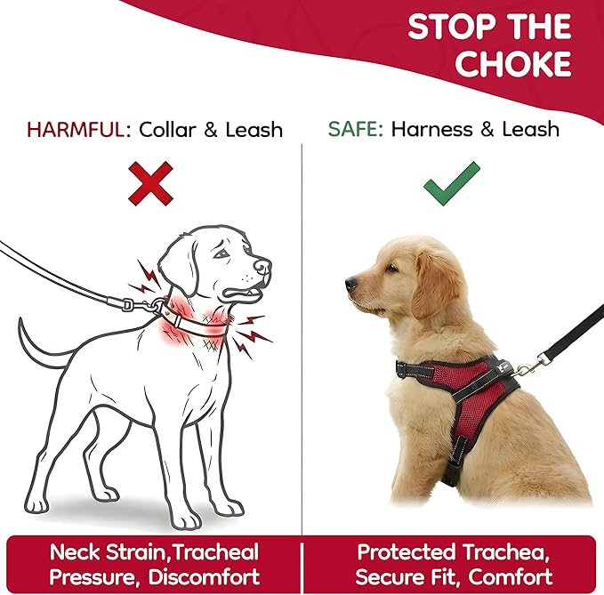 No Pull Reflective Adjustable Dog Harness with Handle- Comfortable Soft All Weather Mesh, Easy On Puppy Harness for Small Medium and Large Dogs (Red) Small