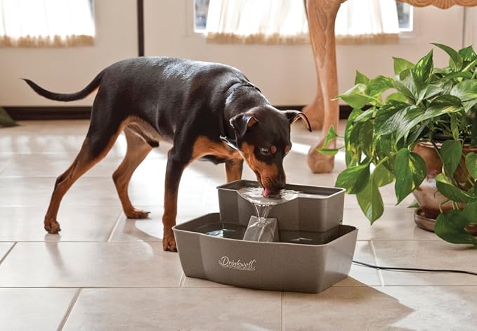 PetSafe Multi-Tier Pet Fountain Large Waterer Great for Cats and Dogs 2 Heights to Drink from Great for Senior Pets 100 Oz Water Capacity Fresh, Filtered Water