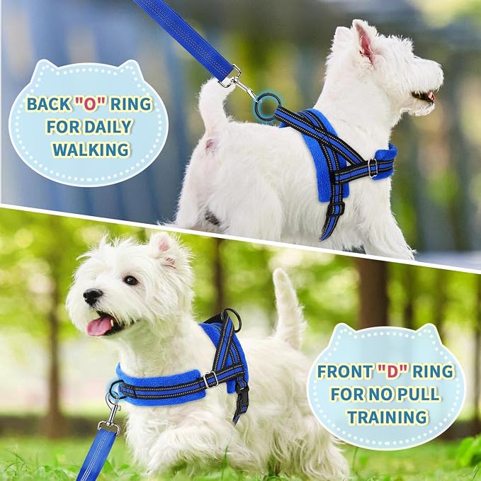 Lukovee No Pull Dog Harness and Leash Set, Soft Padded Small Dog Harness, Neck & Chest Adjustable Reflective Vest Puppy Harness with 4ft Lightweight Anti-Twist Dog Leash for Small Dogs (XXS, Blue)
