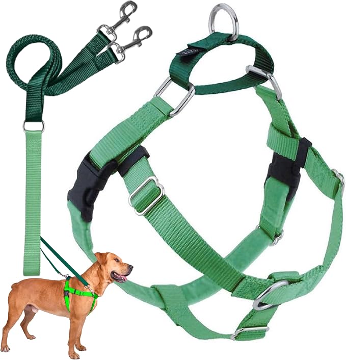 2 Hounds Design Freedom No Pull Dog Harness, Adjustable Harness and Leash Set, Easy Walking & Comfortable Control, Fits Small, Medium & Large Dogs, Solid Colors, Made in USA, 5/8" XS, Neon Green
